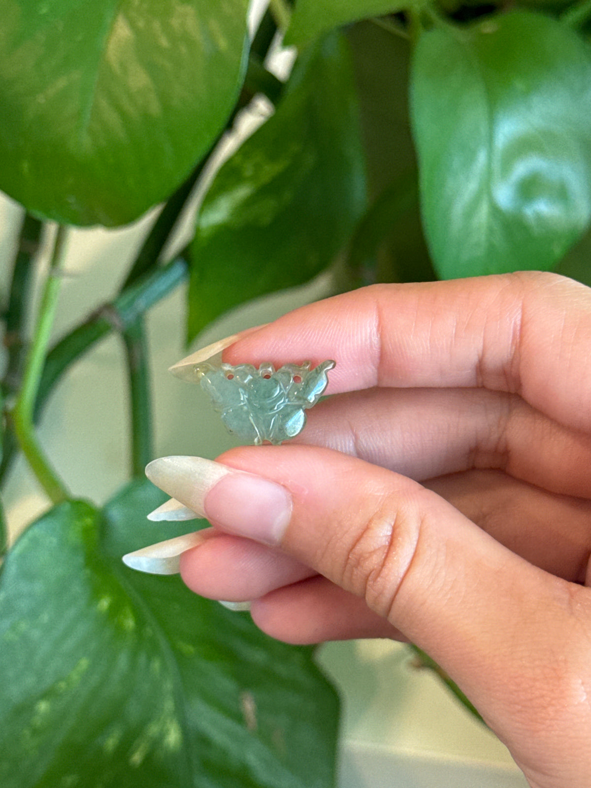 Jade Butterfly