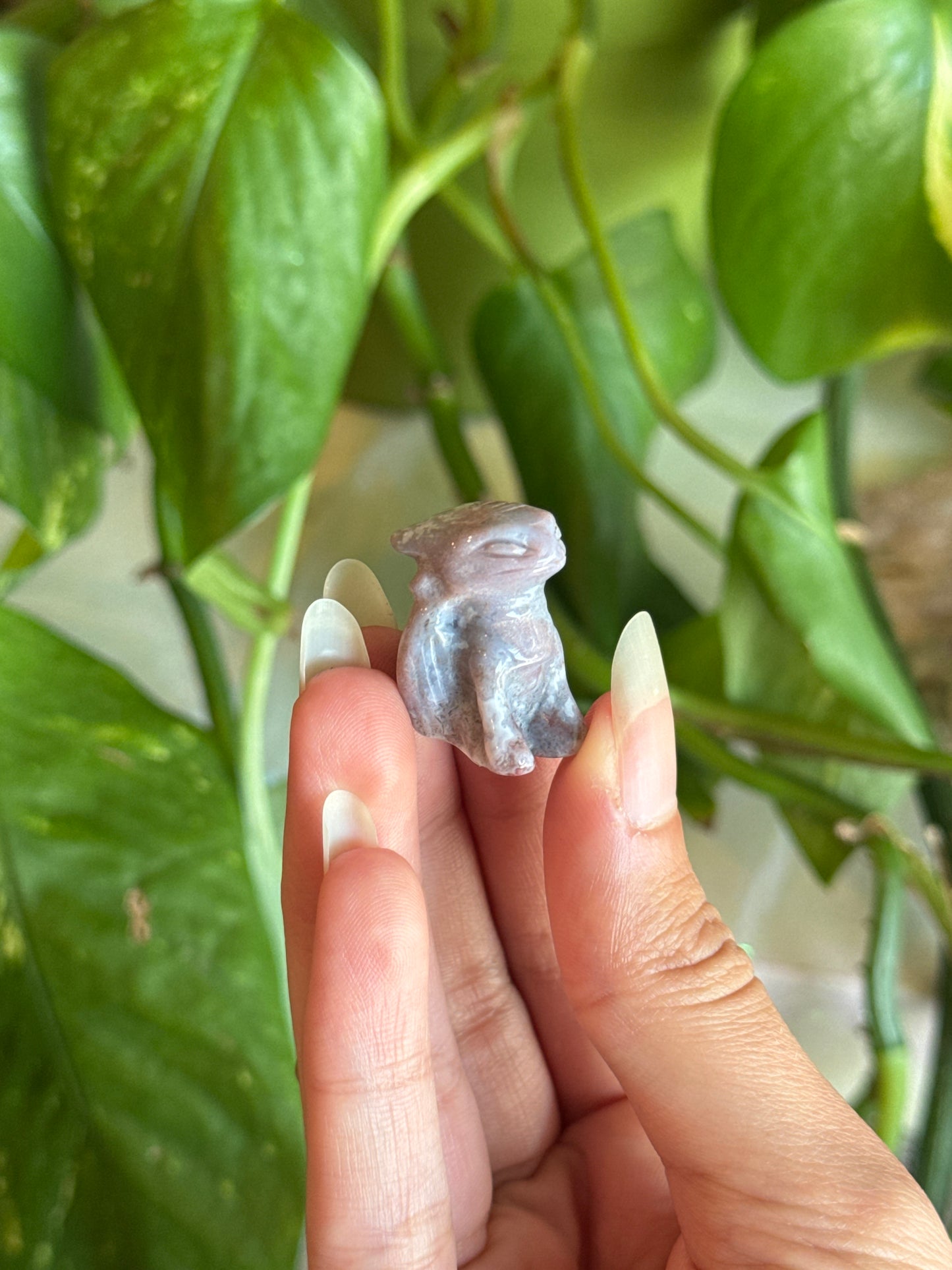 Sea Jasper Mini Toothless Carving