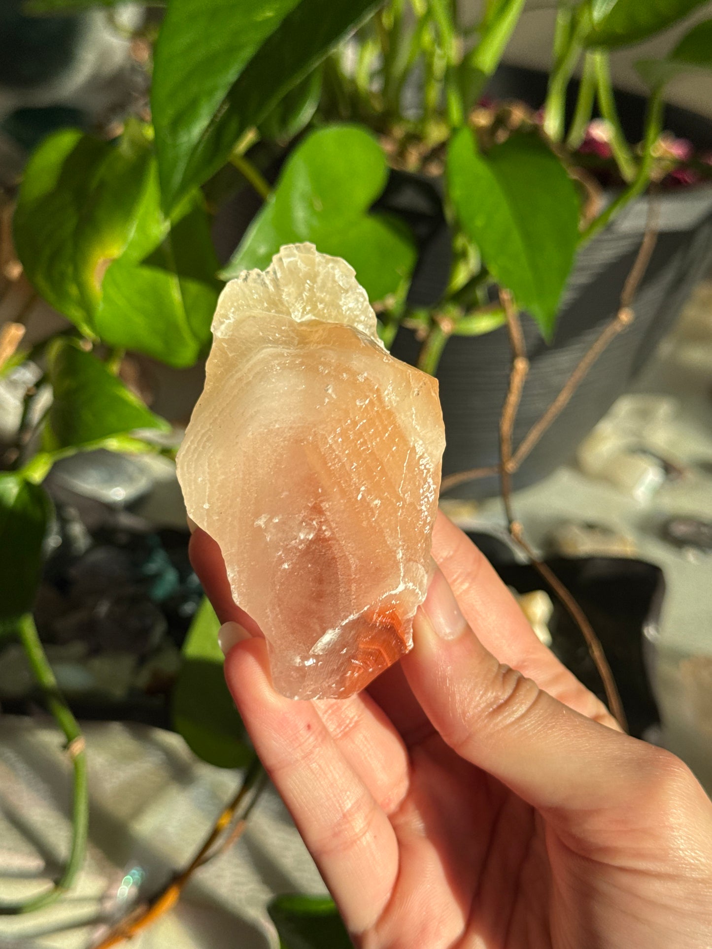 Peachy Banded Tri-Color Mexican Calcite B