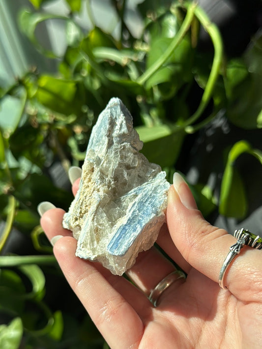 Kyanite & Quartz Specimen