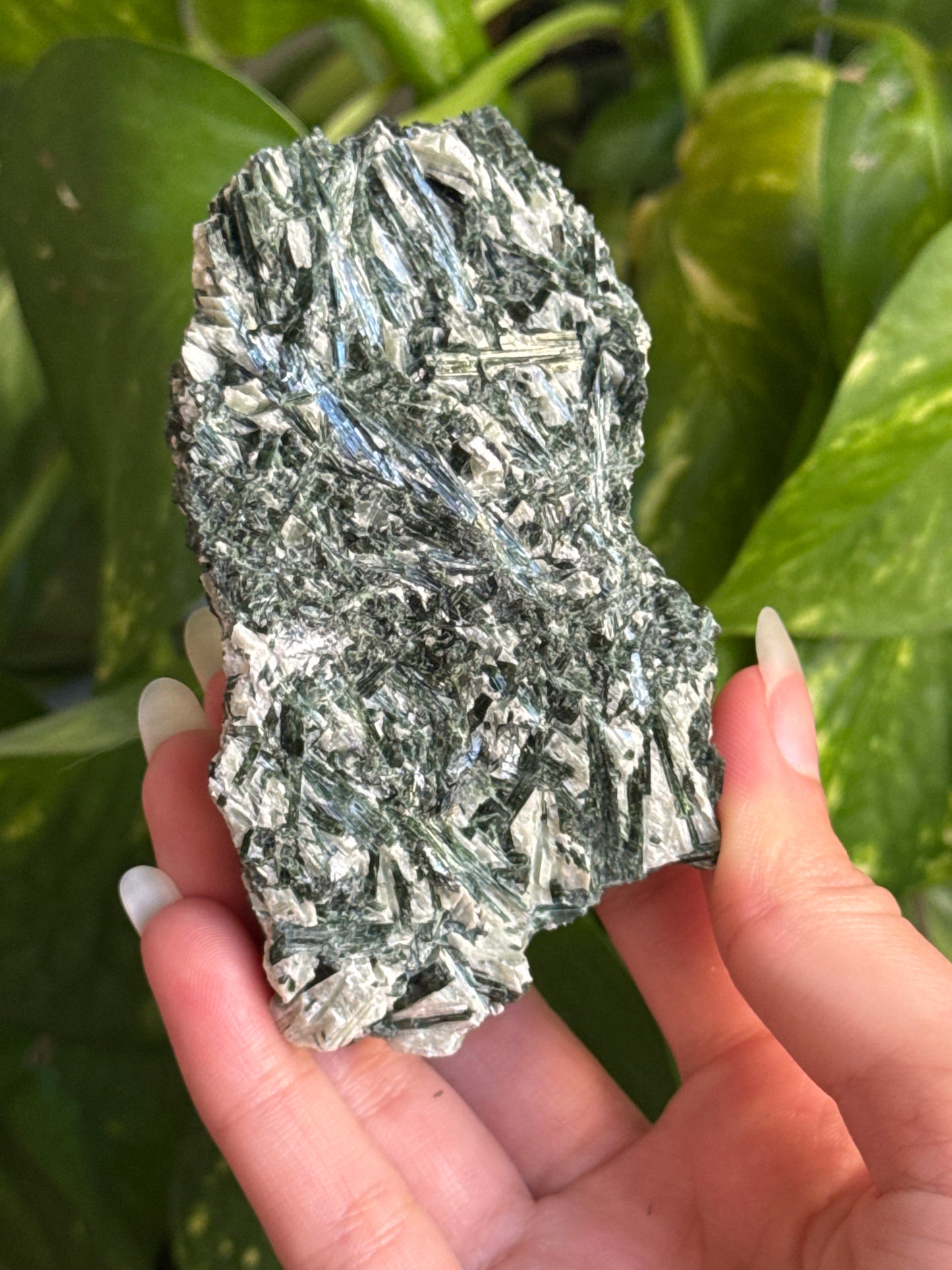 Exposed Actinolite on Quartz Specimen A