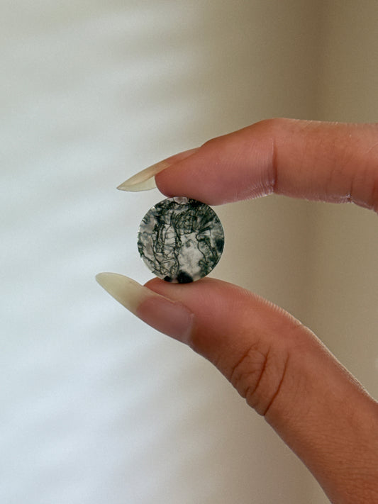 High Grade Moss Agate Disk