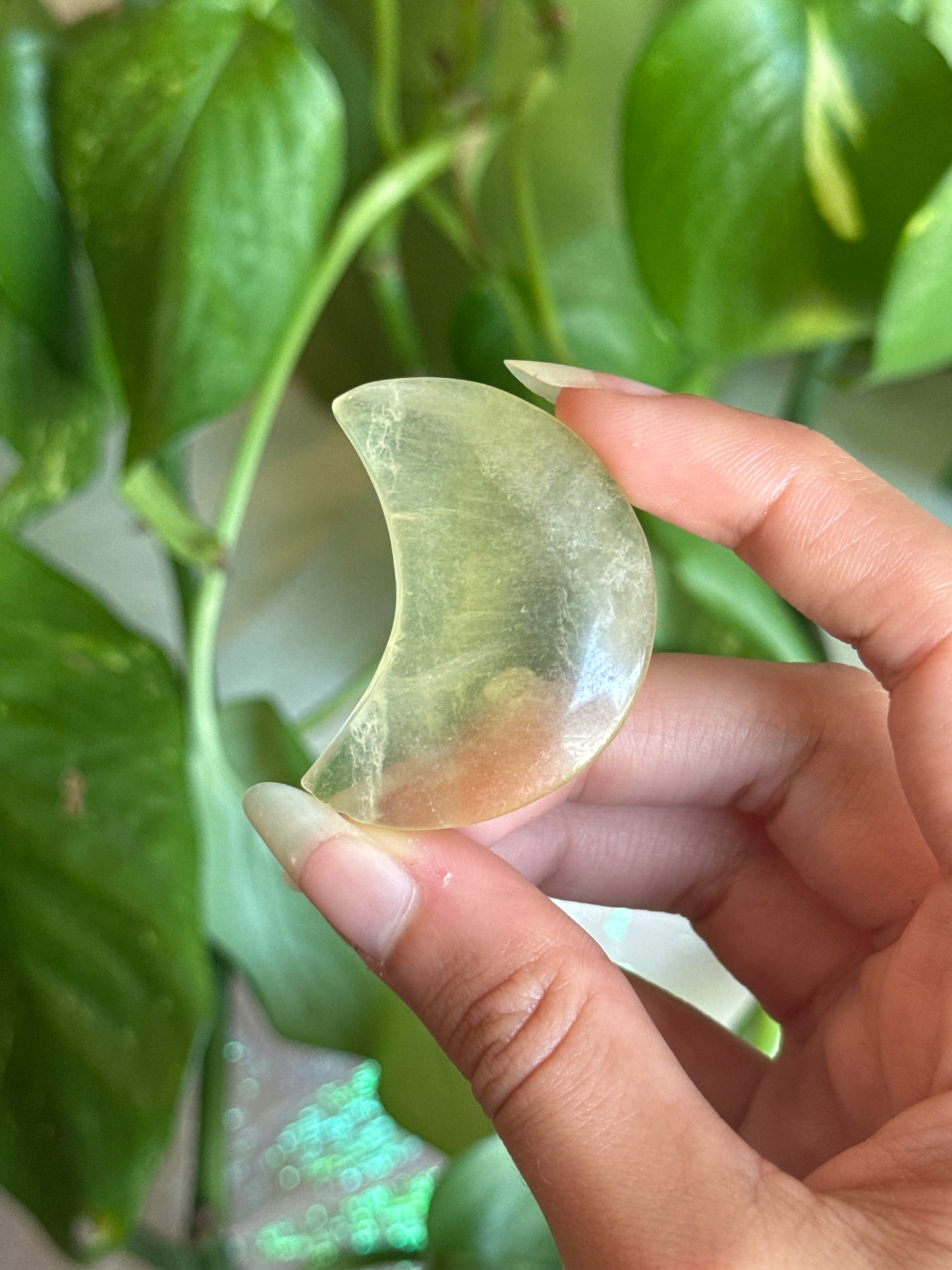 Clear Yellow Fluorite Crescent Moon