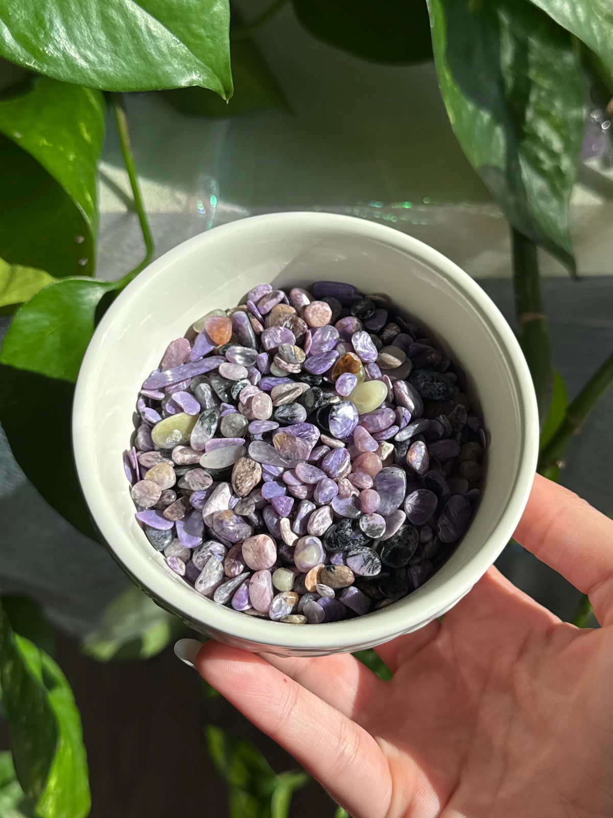 Charoite Chips