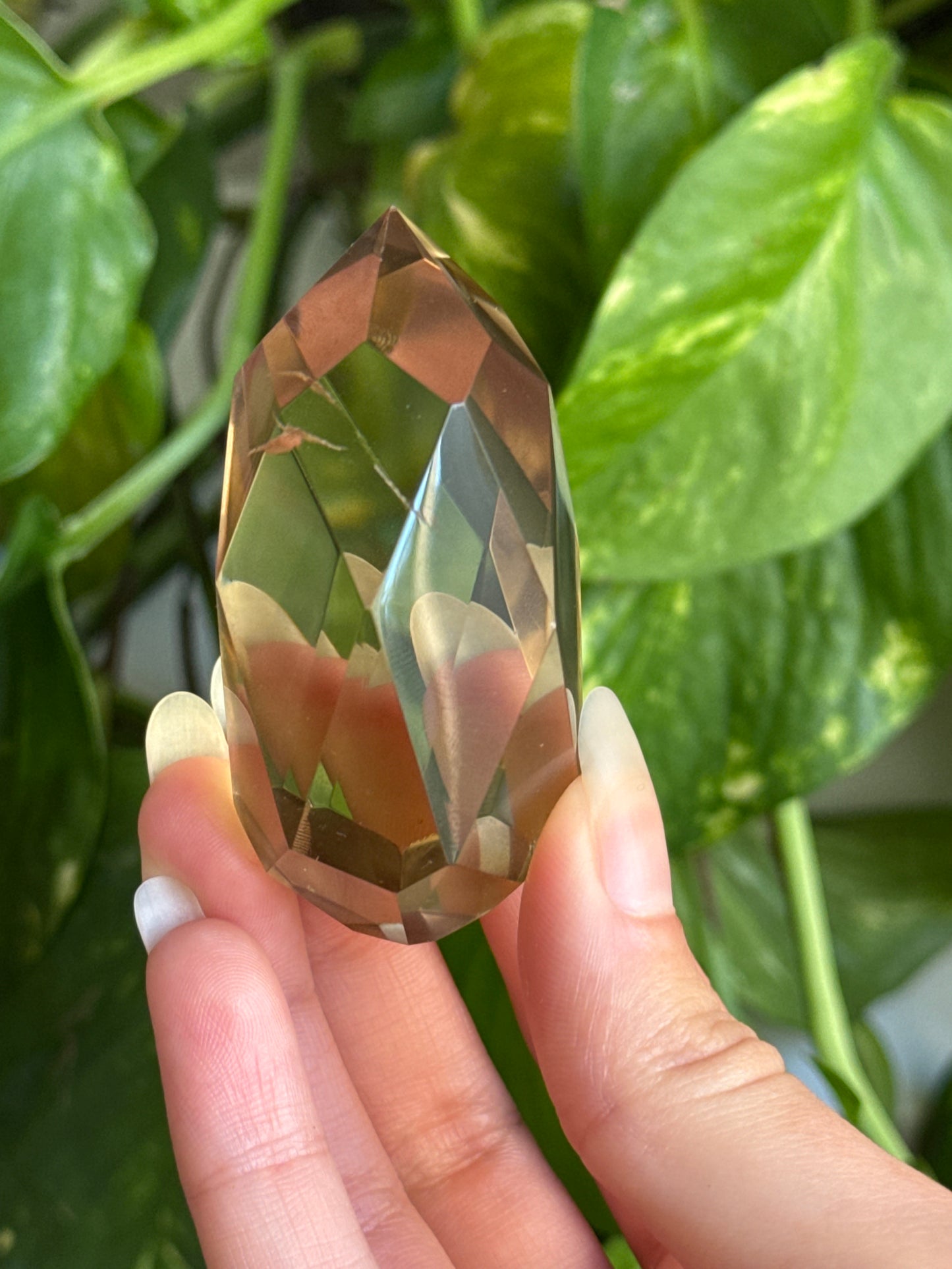 Faceted Citrine