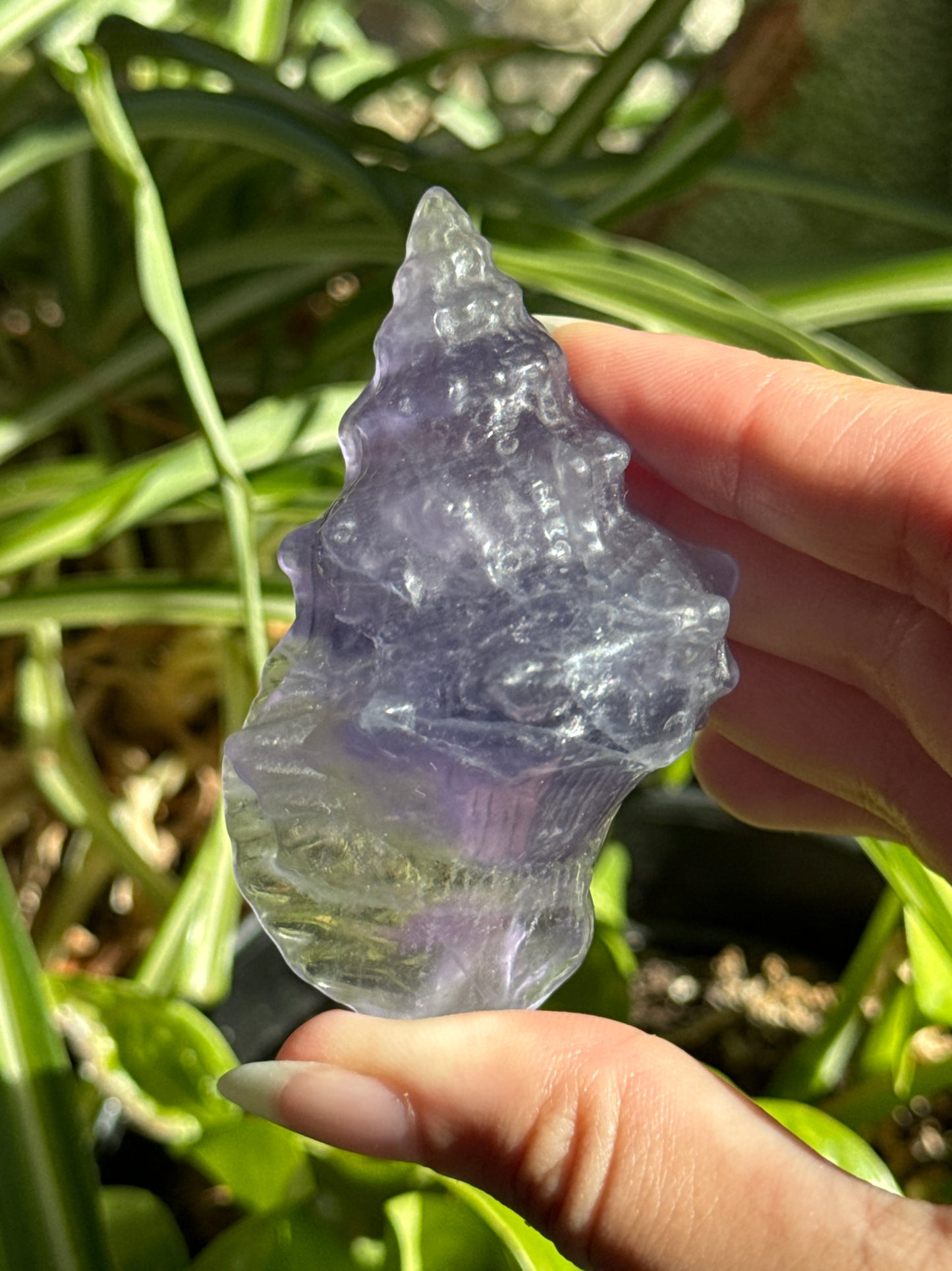 Purple Fluorite Conch Shell Carving