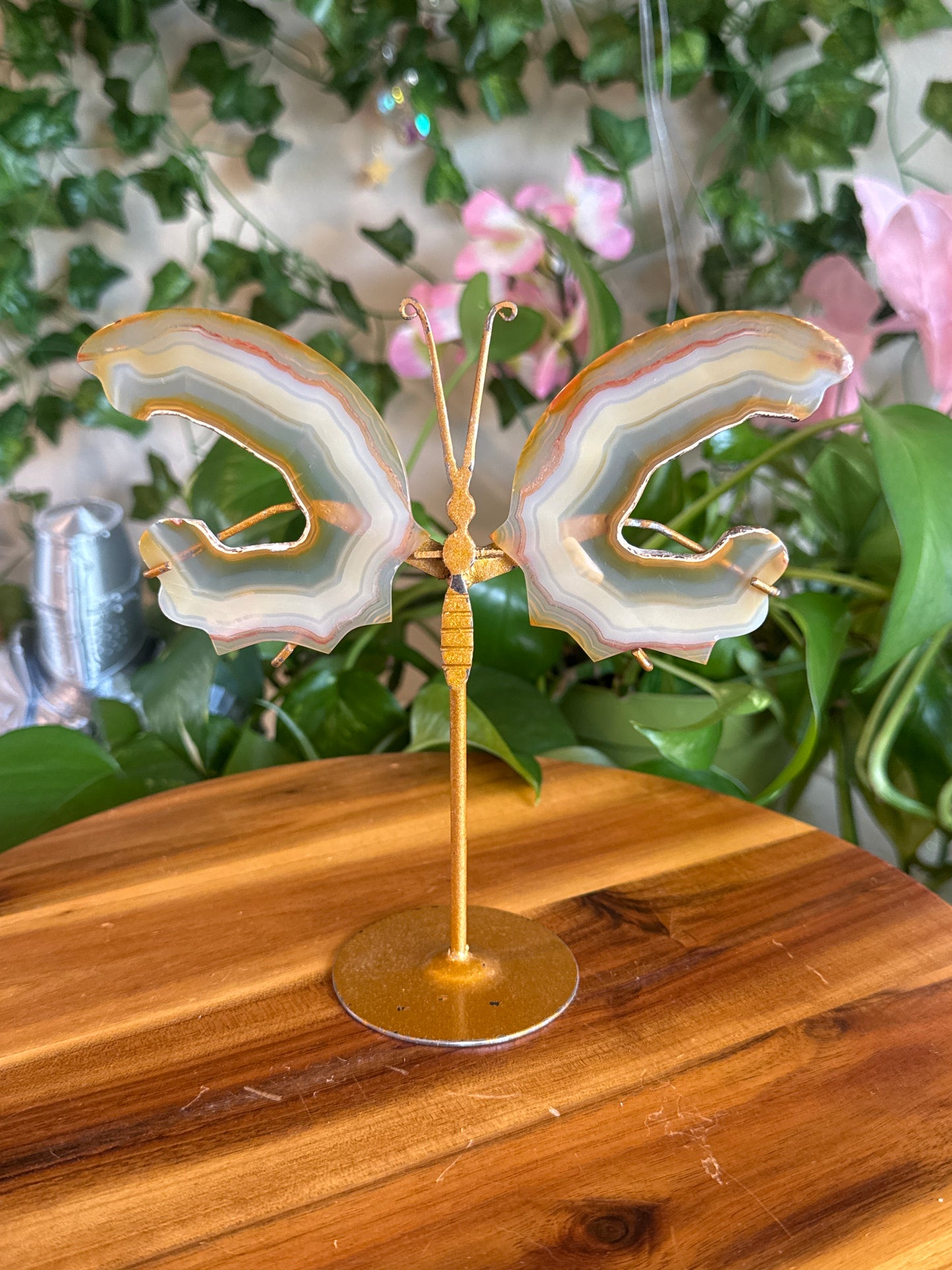 mommajay728 listing