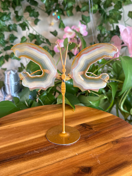 mommajay728 listing