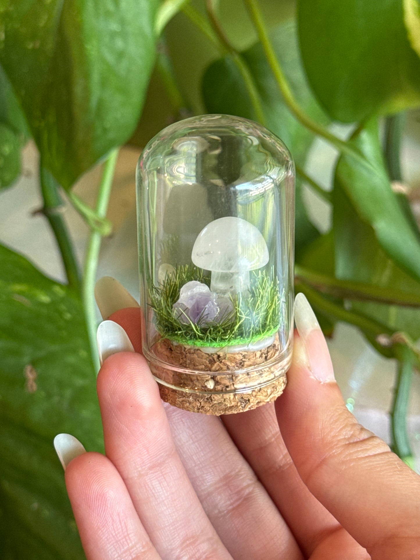 Clear Quartz & Amethyst Mushroom Mini Crystal Terrarium