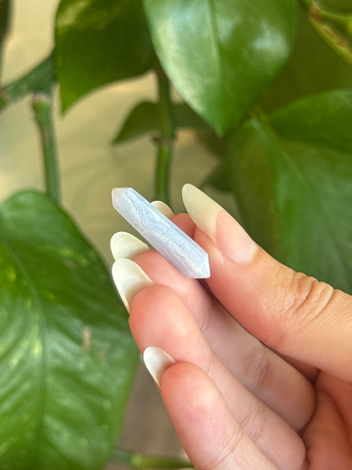 Blue Lace Agate DT