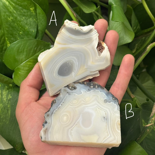Grey Lace Agate Slab | You Pick