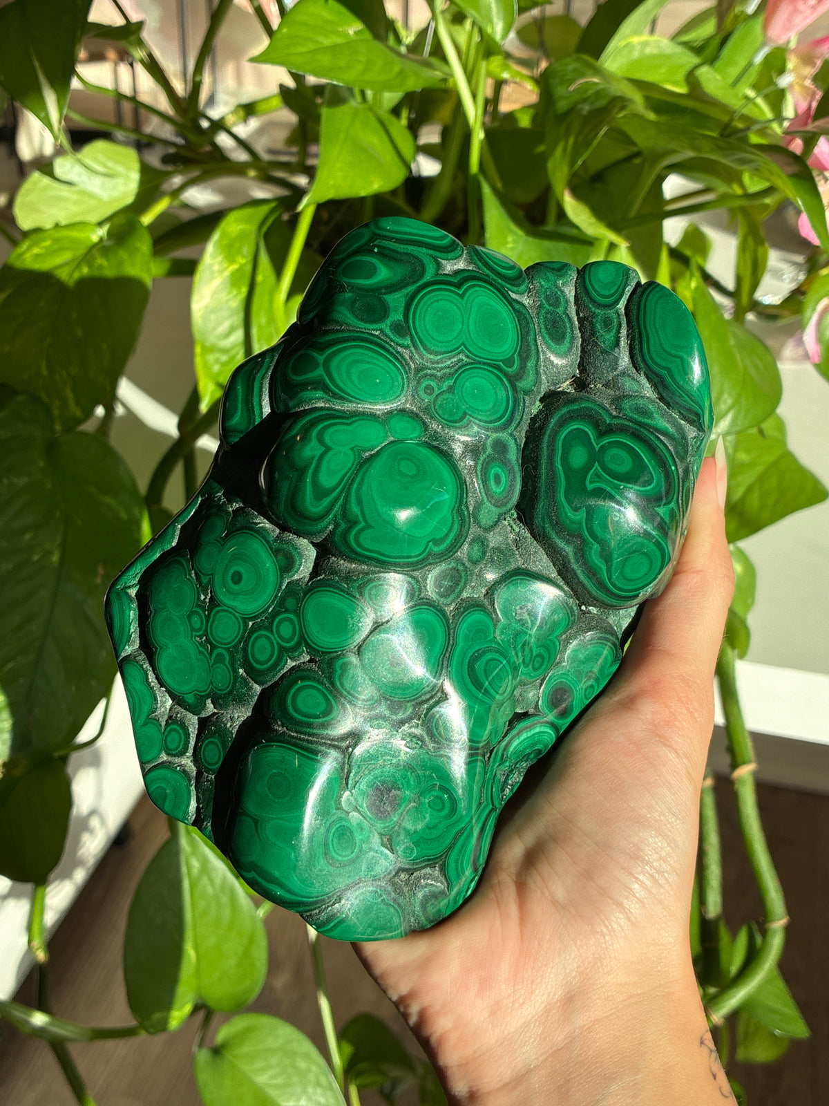 Statement Collectors Malachite Polished Large Freeform