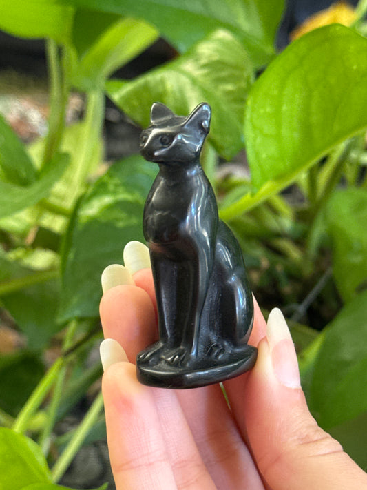 Obsidian Hairless Cat