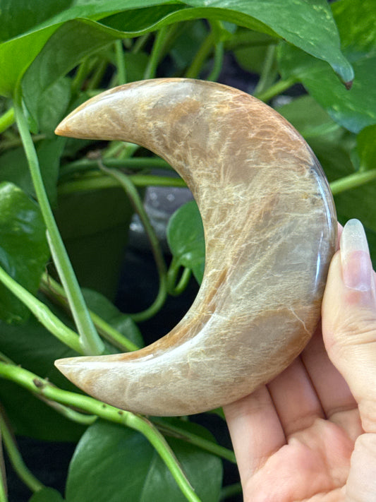 Flashy Peach Moonstone Crescent Moon *see vid for flash*