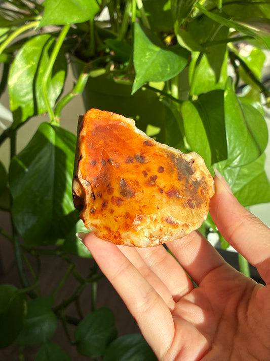 Raw Carnelian ‘Frog’ Specimen