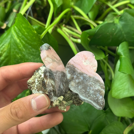 Hand Carved Peruvian Pink Opal Butterfly on Cubic Pyrite D