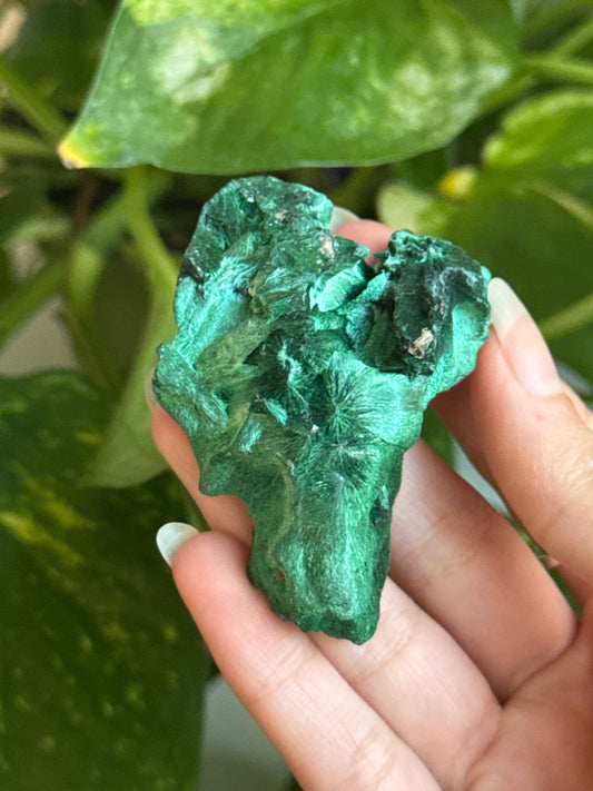 Velvet Malachite Specimen