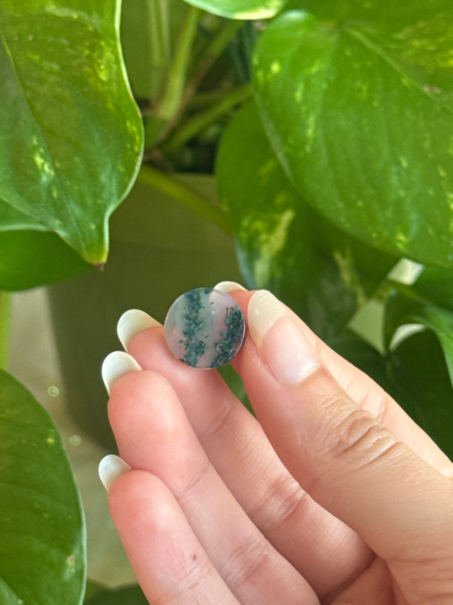 Moss Agate High Grade Mini Disk