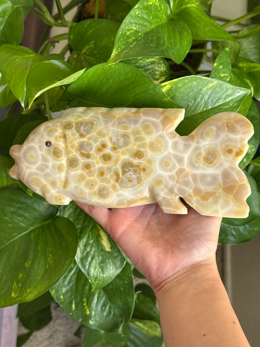 Large Sea Jasper Fish Carving (Self Standing)