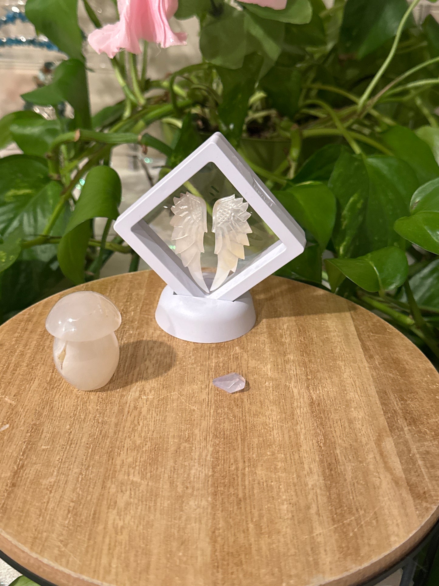 jena.alisa11 listing