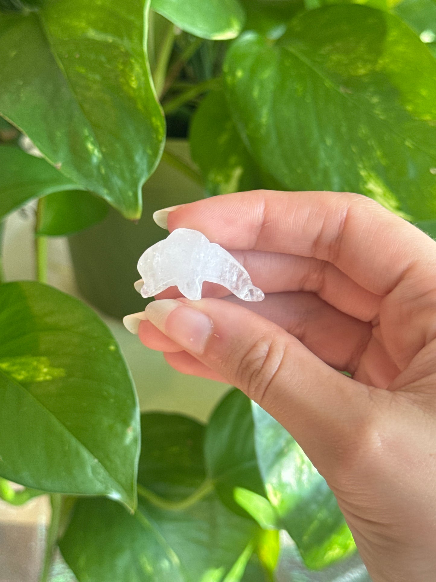Clear Quartz Dolphin Carving