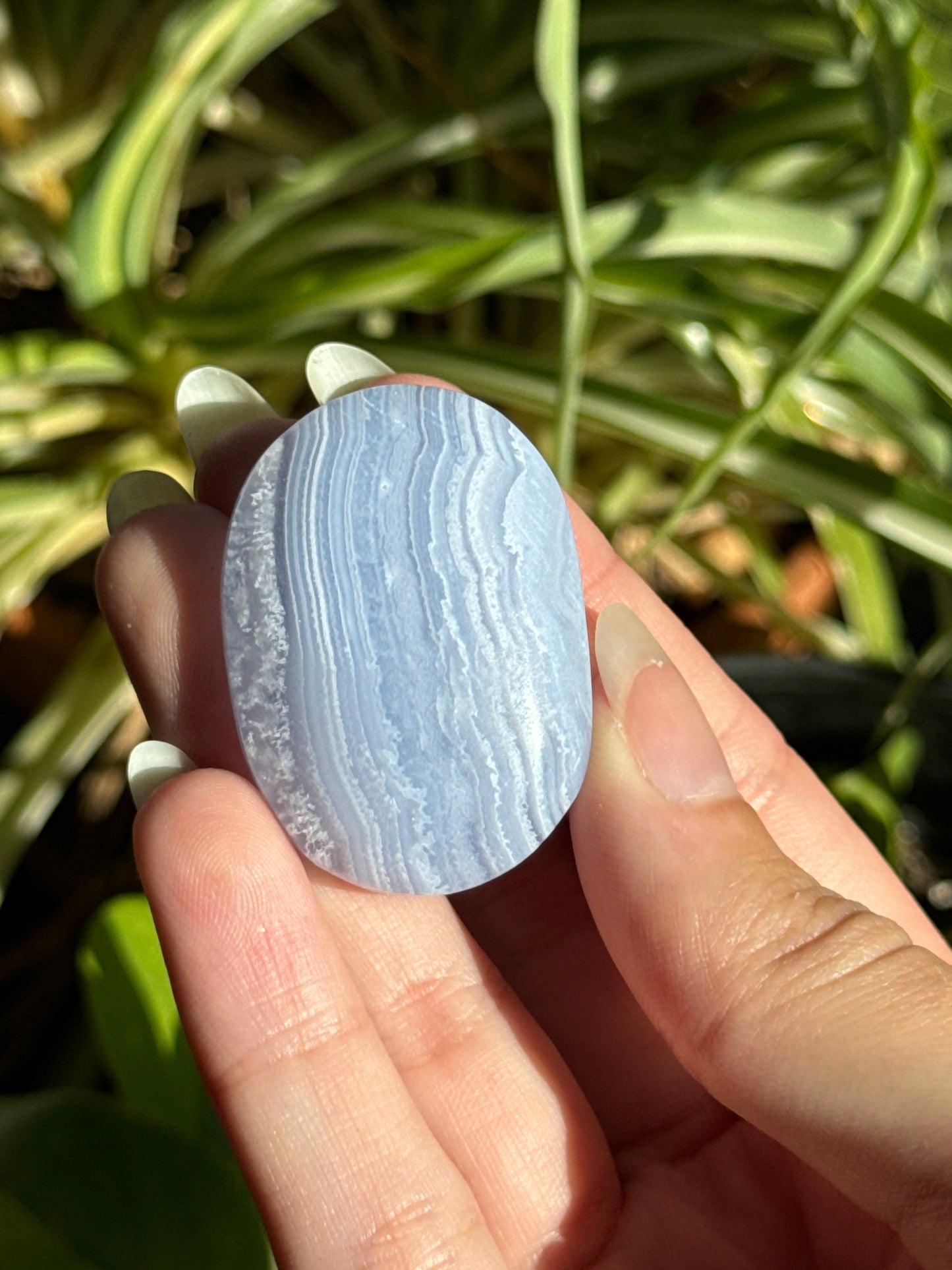 Blue Lace Agate Palmstone | You Pick