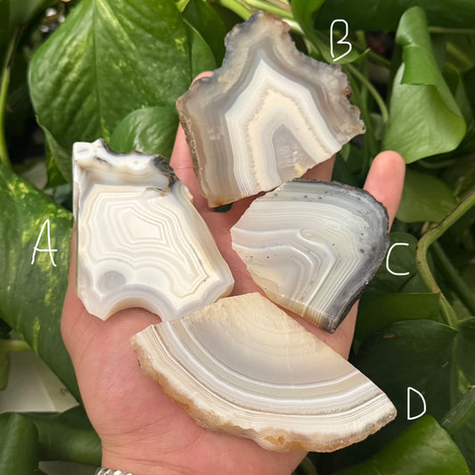 Grey Lace Agate Slab | You Pick