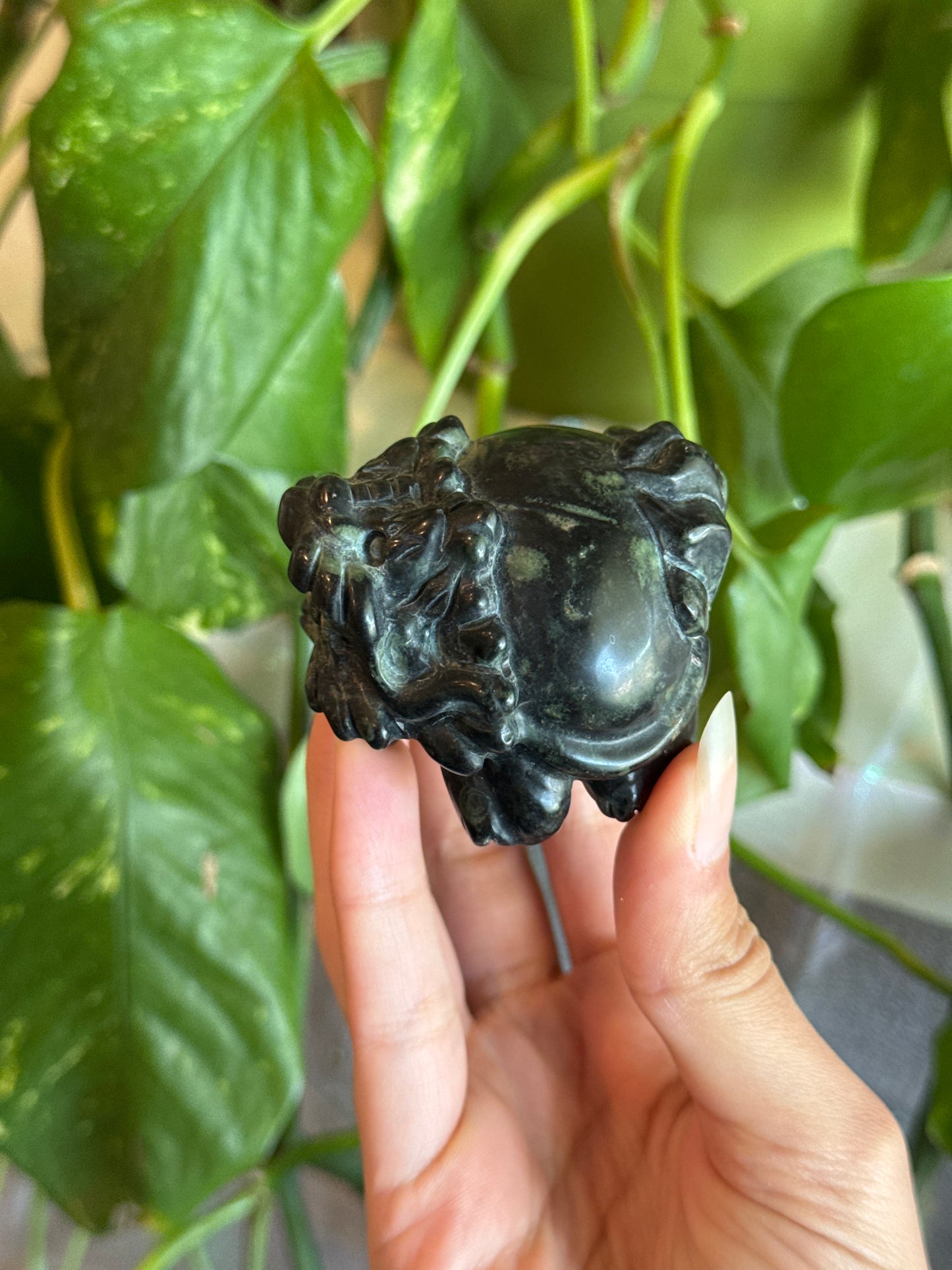 Money Dragon Kambaba Jasper Carving for Attracting Wealth & Abundance