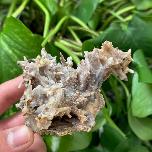Crystalized Chalcedony Specimen
