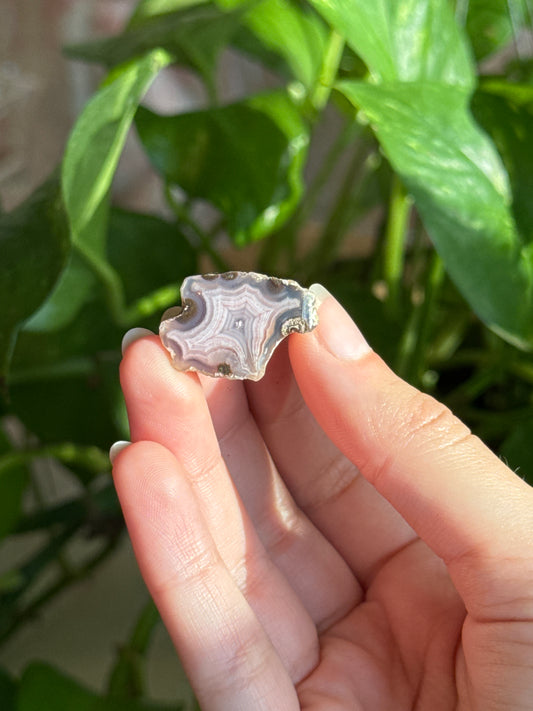 Pastel Laguna Agate With Parallax Specimen