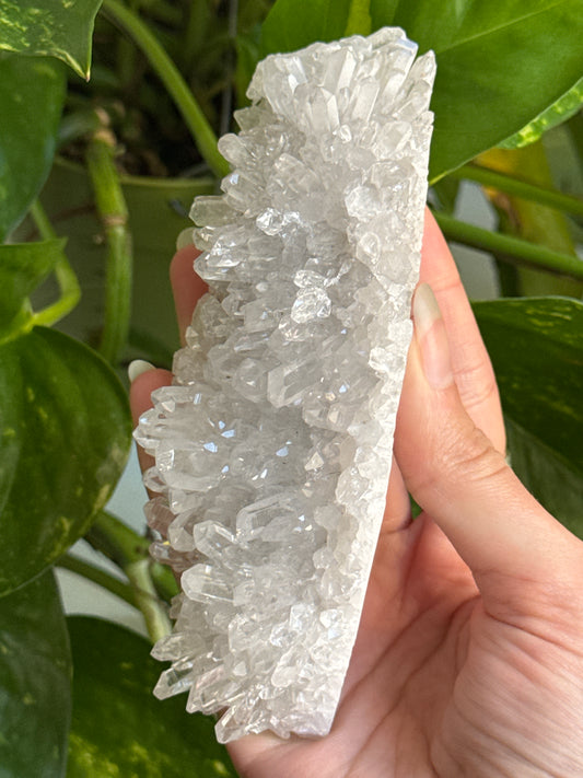 Clear Quartz Cluster