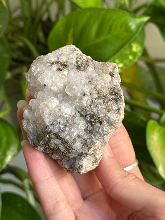 Pyrite on Quartz Specimen B