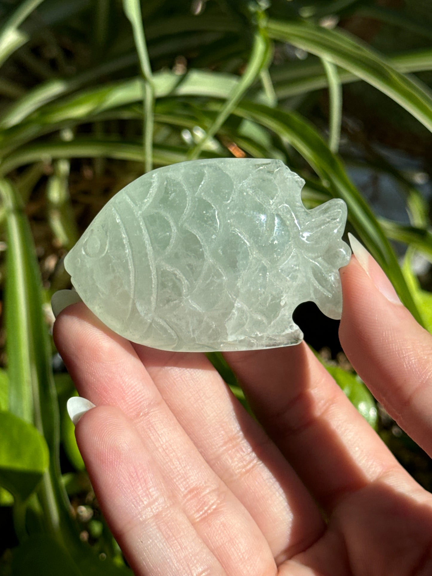 Green Fluorite Fishy Carving