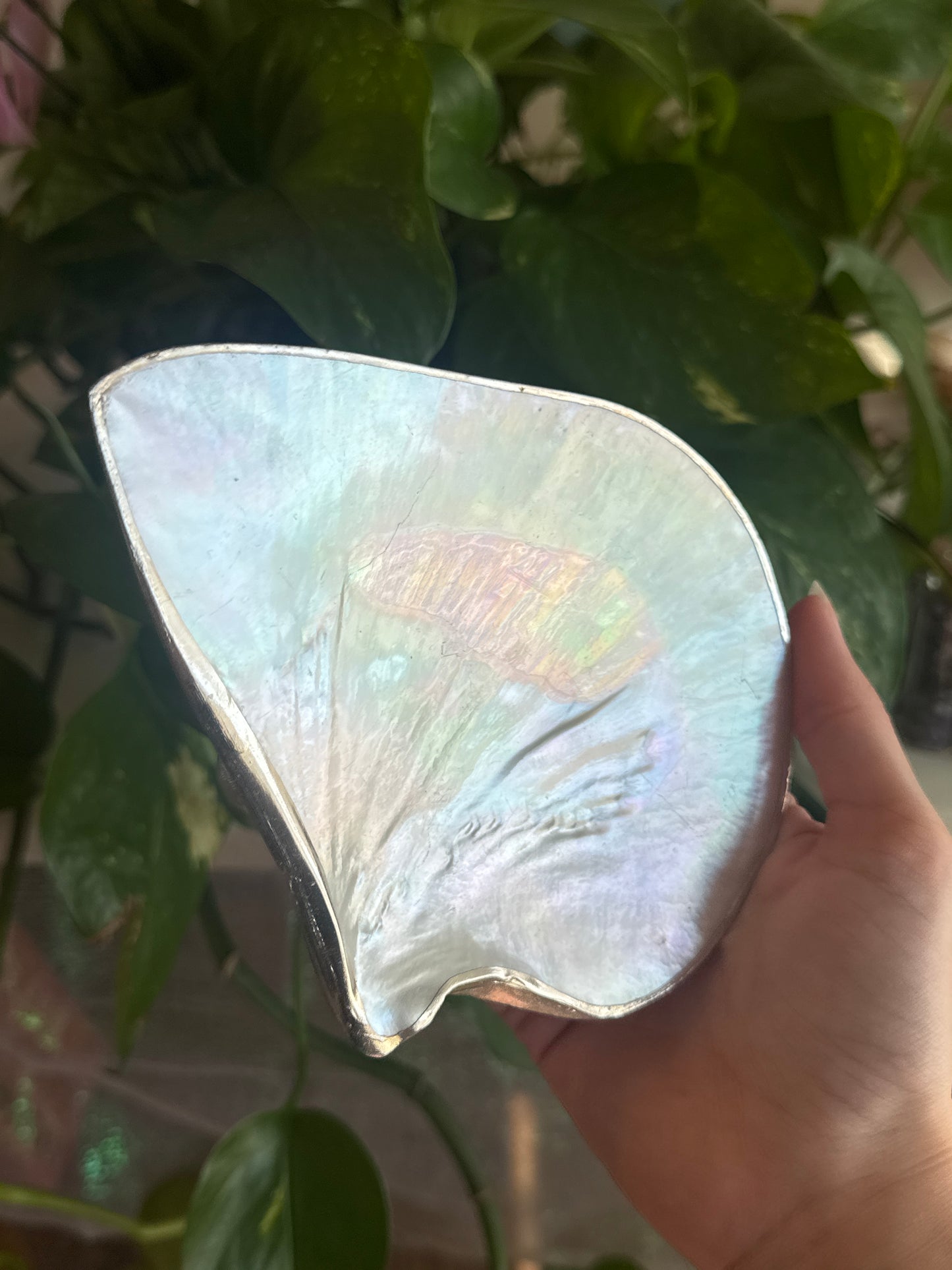 Iridescent Shell Handmade Bowl A