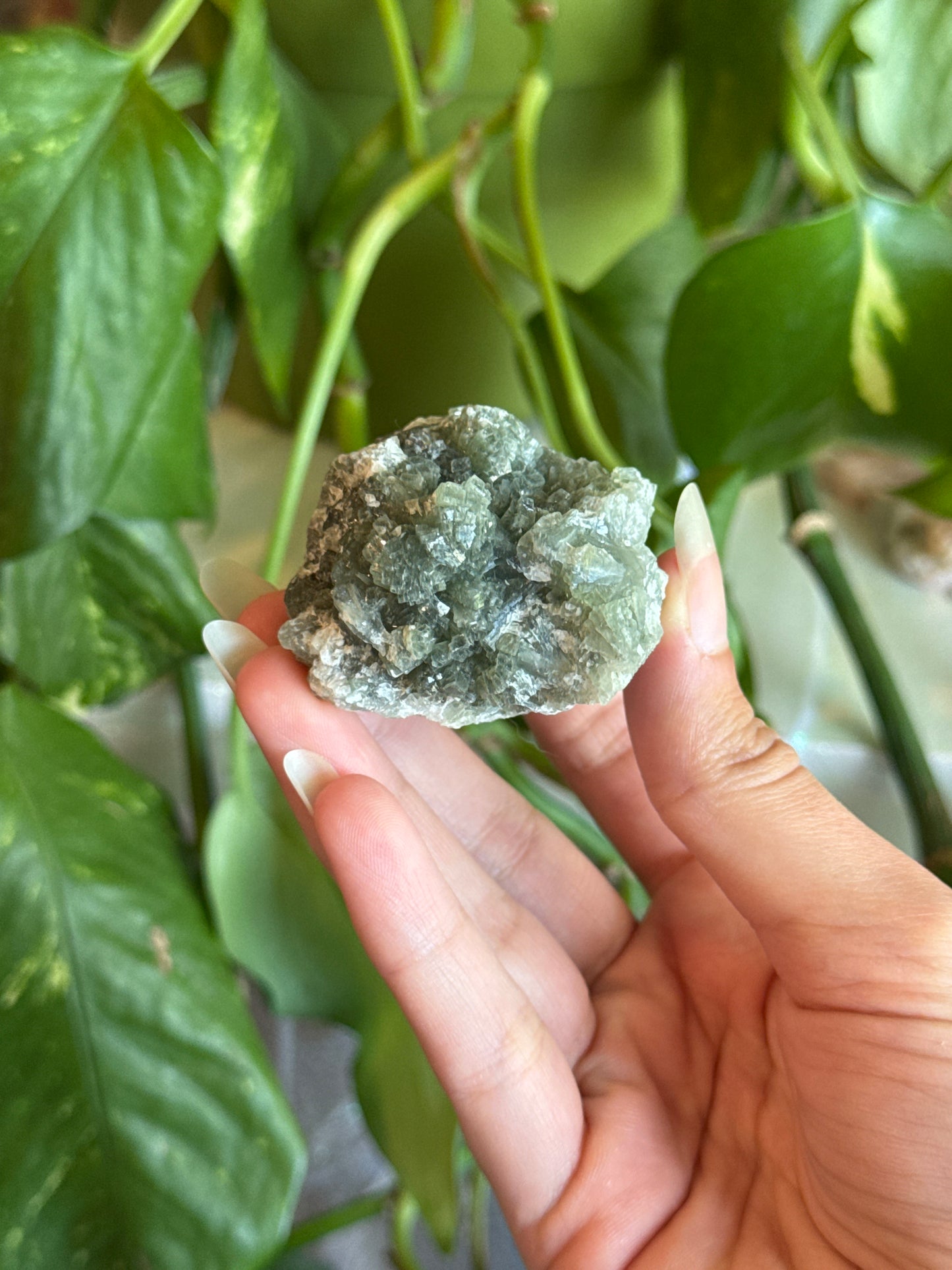 Moody Dark Green Crystalized Prehnite Specimen Cluster