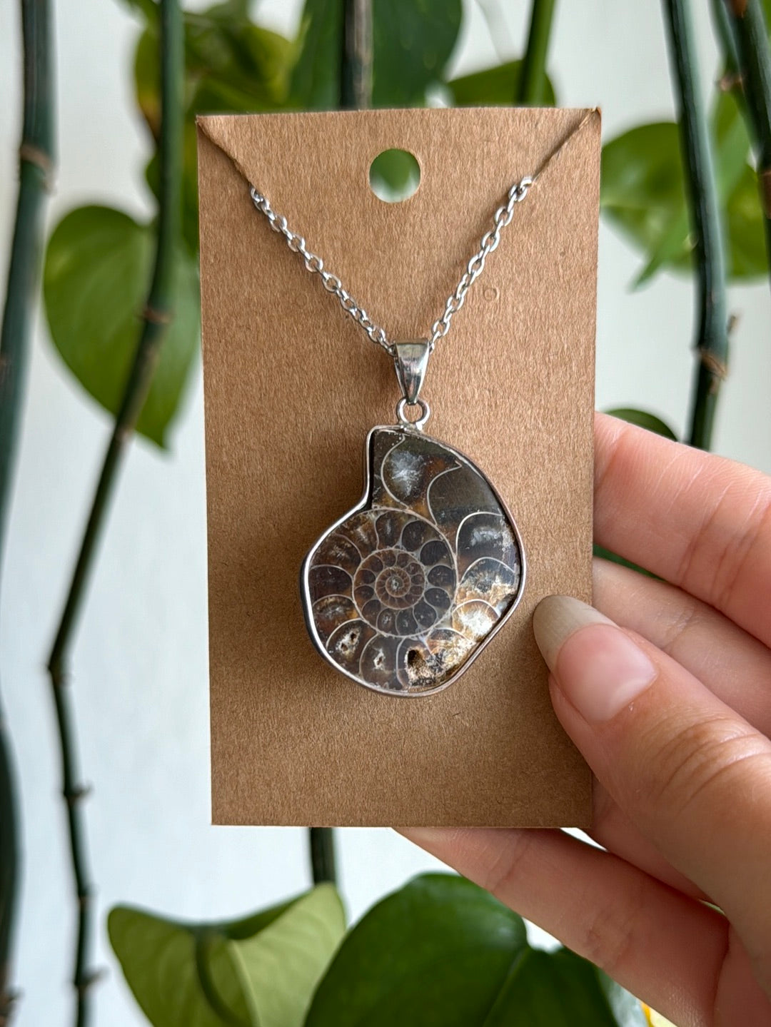 Ammonite Necklace