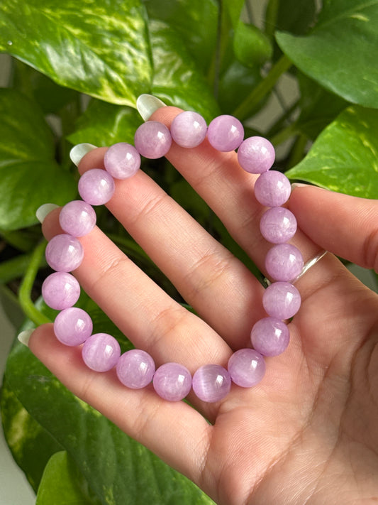High Grade Cats Eye Kunzite Bracelet