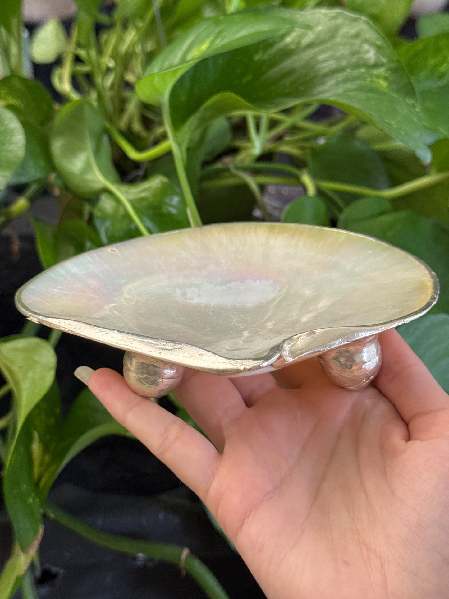 lridescent Shell Dish B