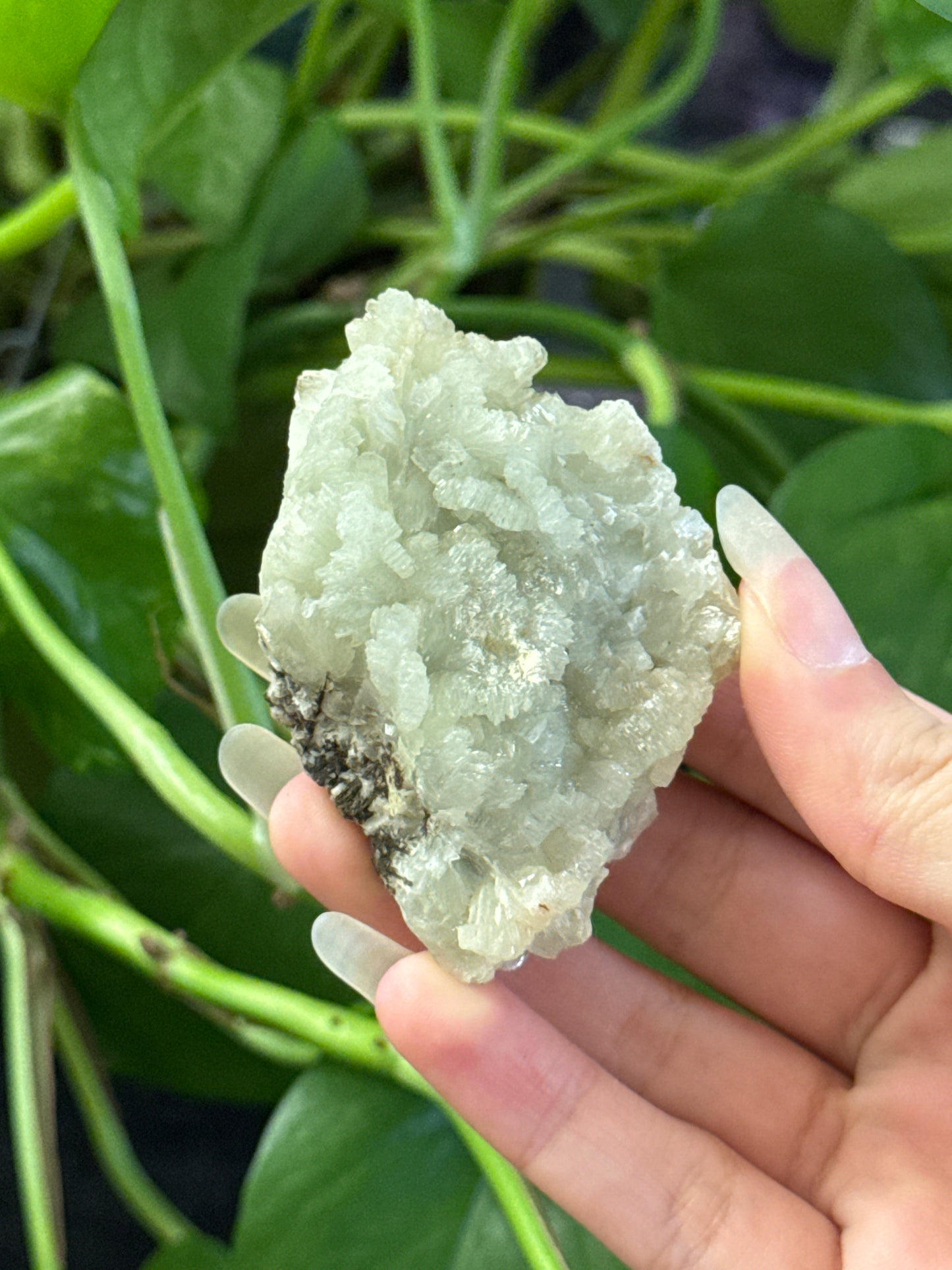 Crystallized Prehnite D