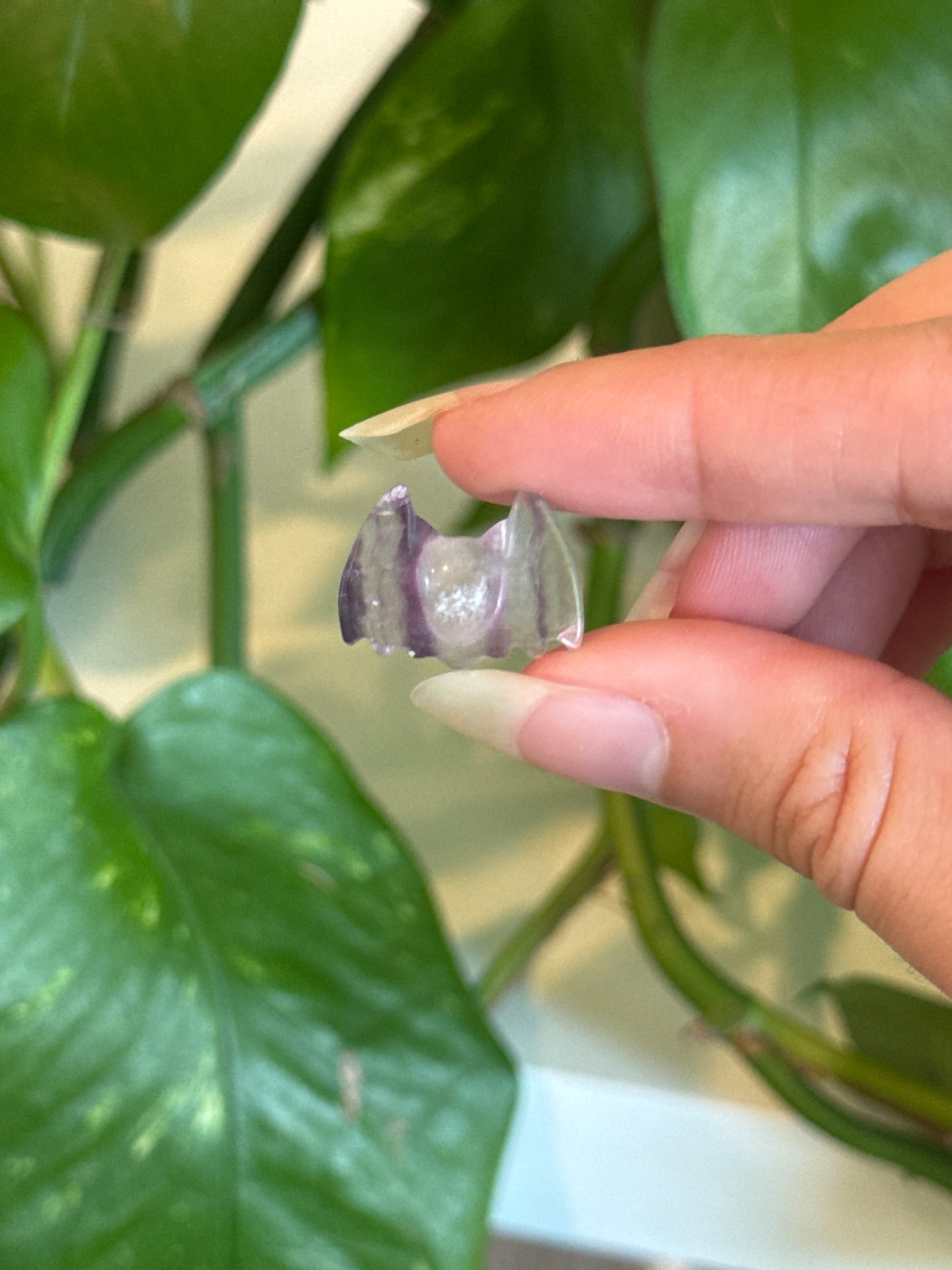 Fluorite Bat