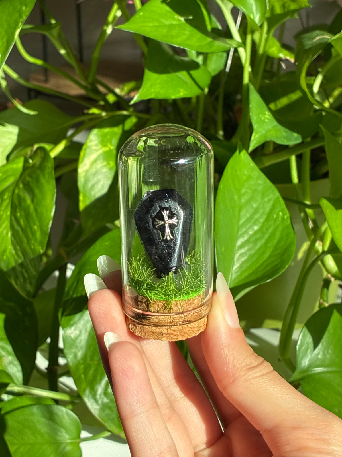 Mini Terrarium Black Goldstone Coffin