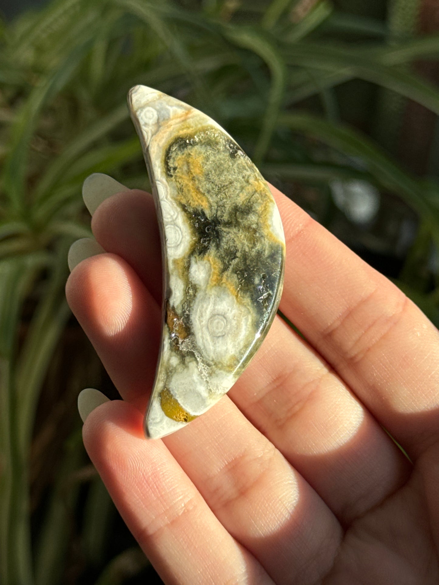 Sea Jasper Crescent Moon