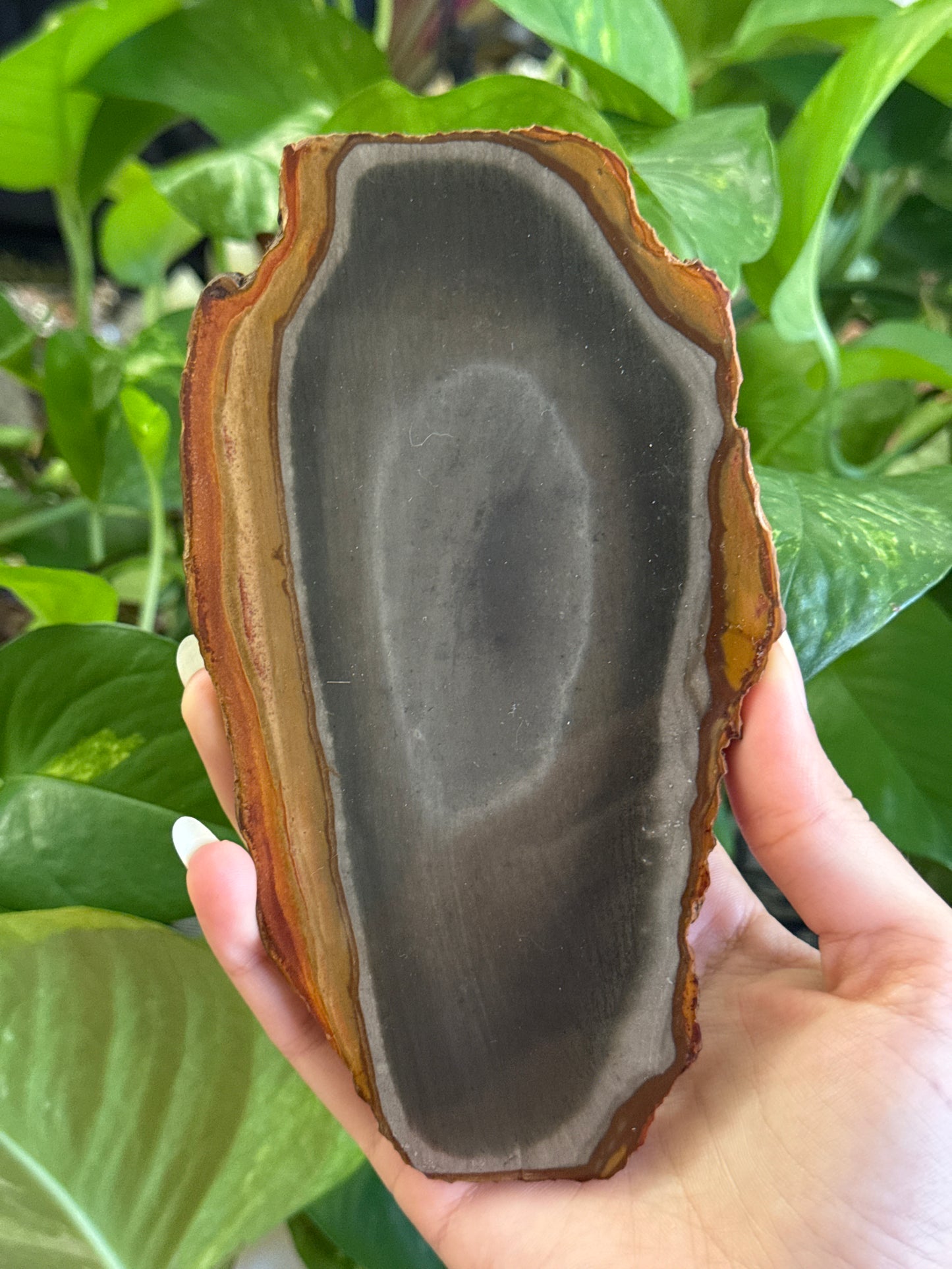 Moody Polychrome Jasper Slab