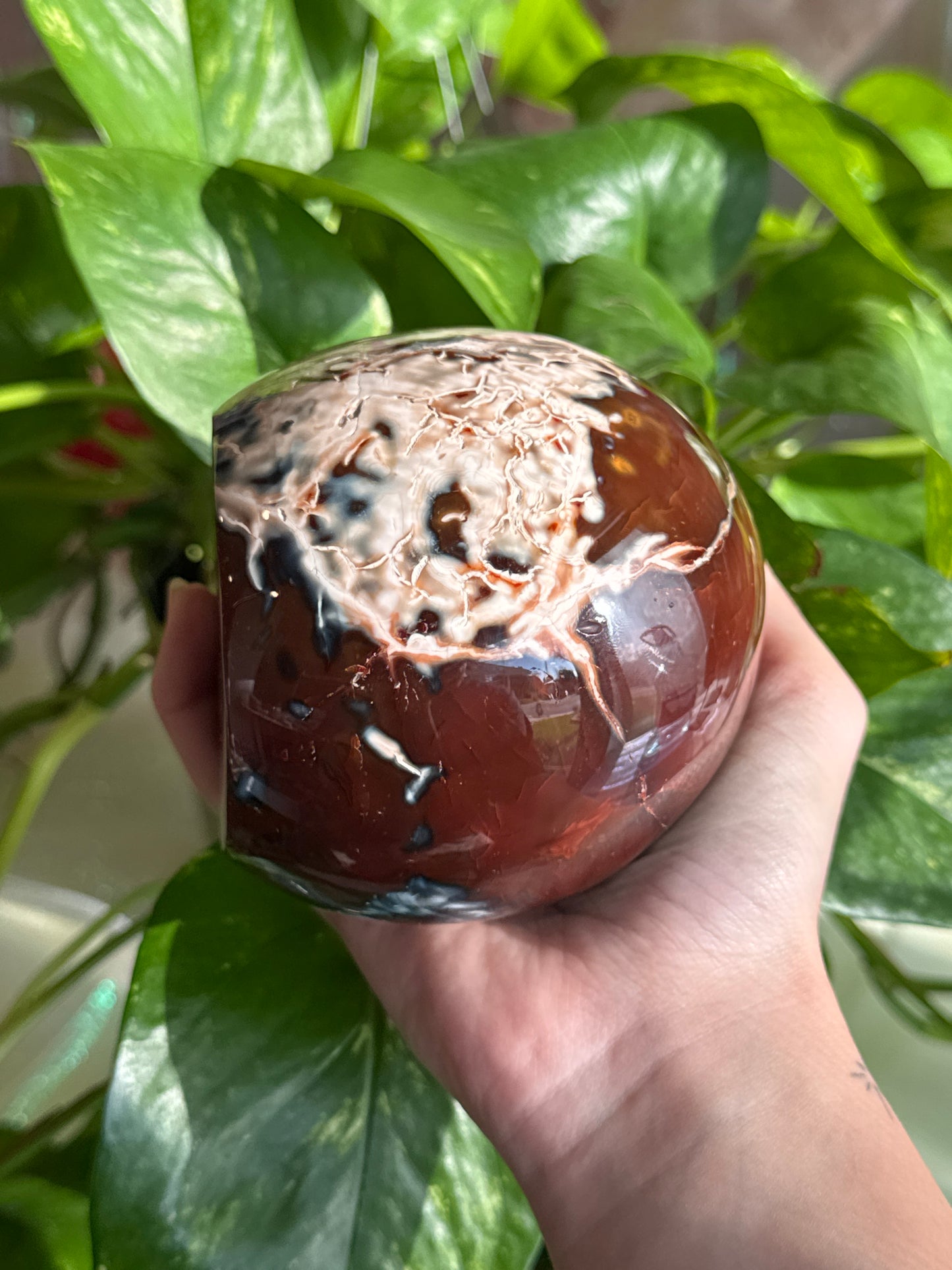 Unique Carnelian & Orca Agate Druzy Cave Freeform