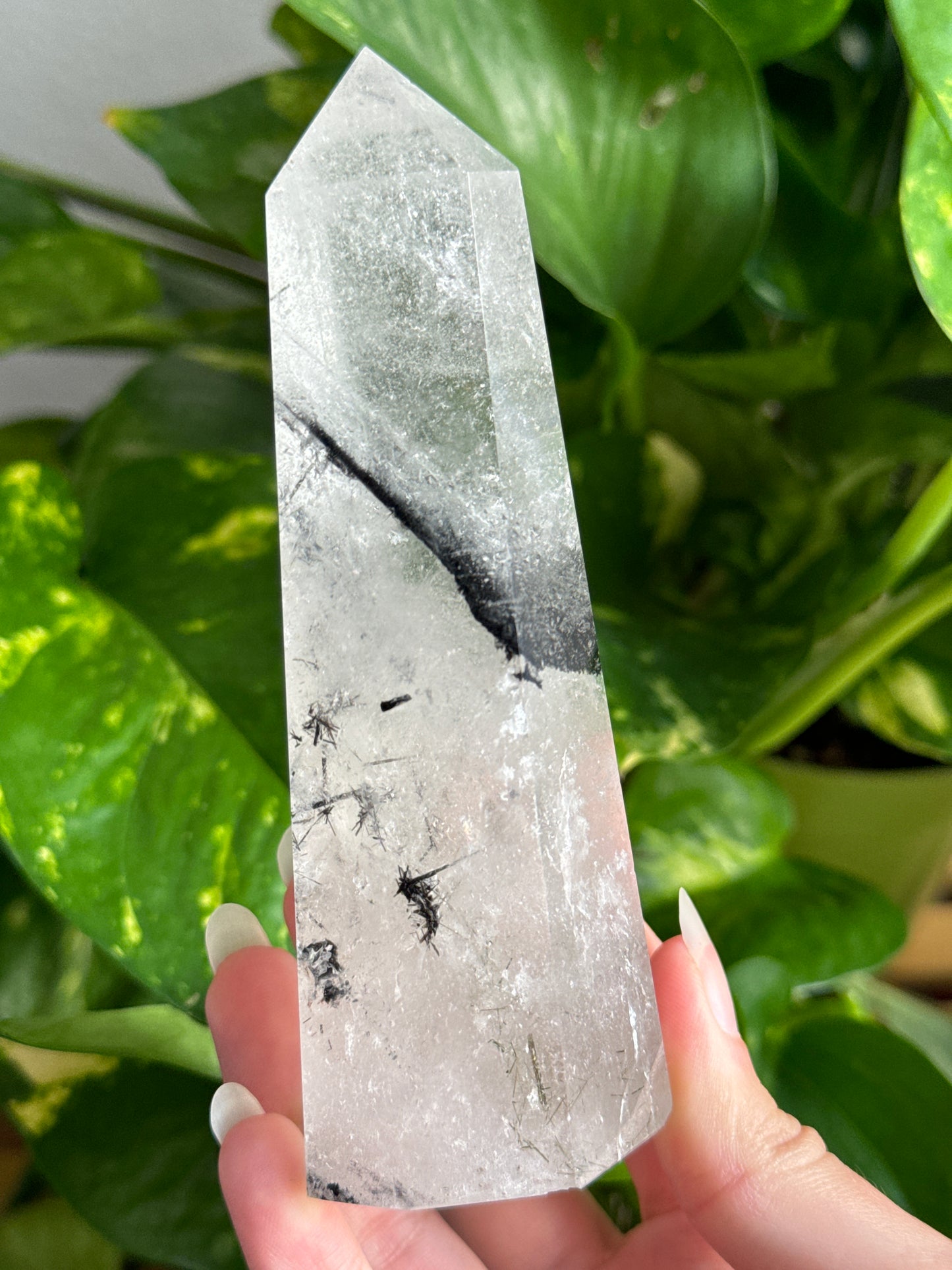 Black Tourmaline in Quartz Tower C