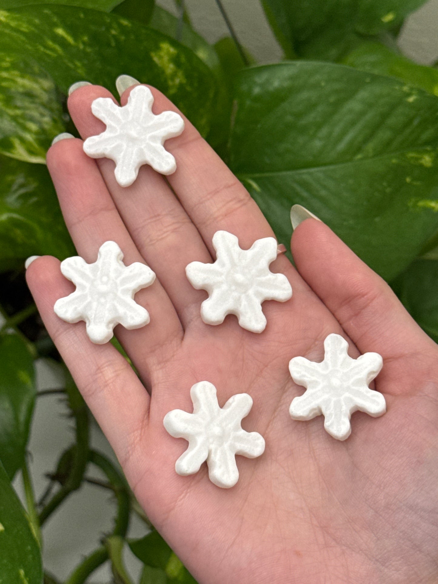 Calcite Snowflake