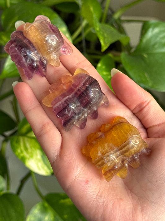 Candy Fluorite Spider | Intuitively Picked