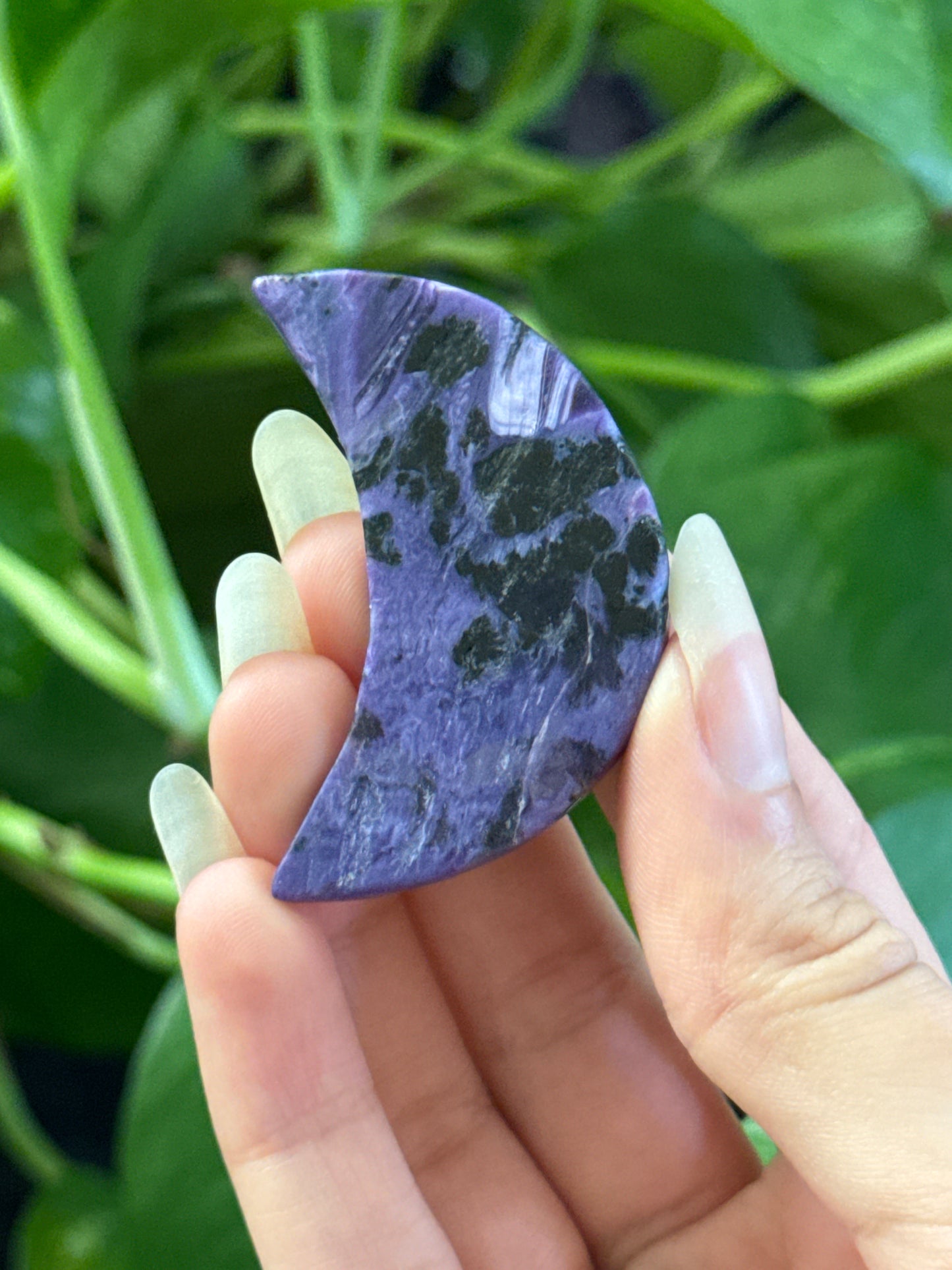 Charoite Crescent Moon | You Pick