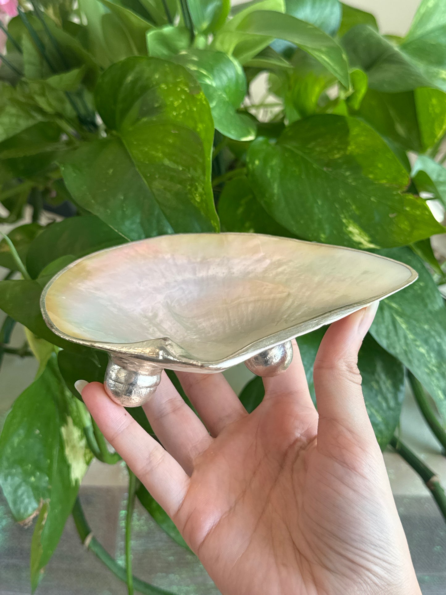 Iridescent Shell Handmade Bowl B