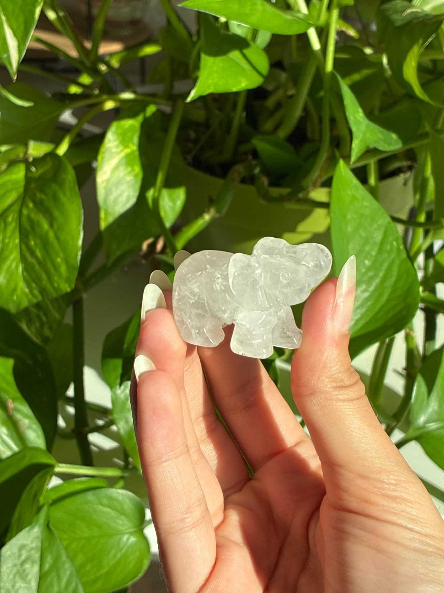 Clear Quartz Elephant Carving